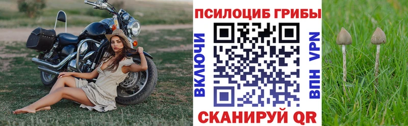 Псилоцибиновые грибы прущие грибы  Ступино 