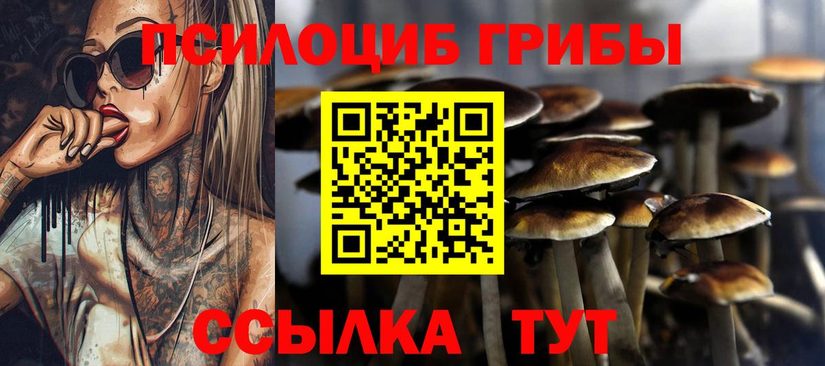 Галлюциногенные грибы прущие грибы  Вход с VPN  Ступино 